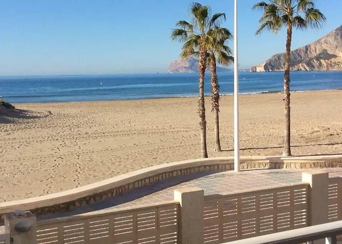 Marti Daire Calp